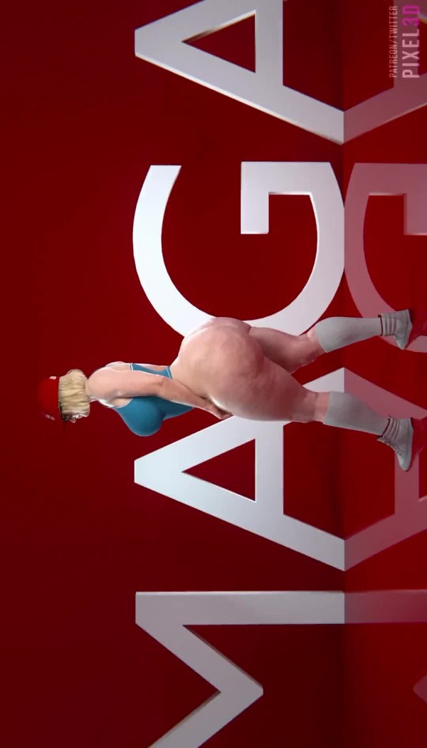 maga - pixel3d
